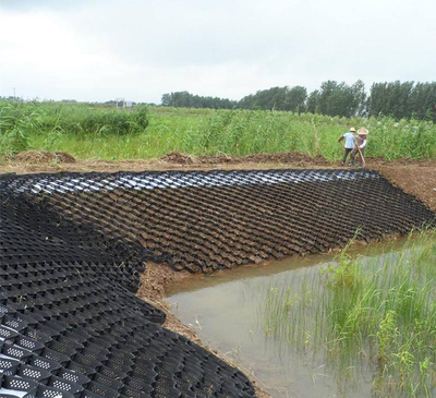 四川土工格室湿地边坡治理案例